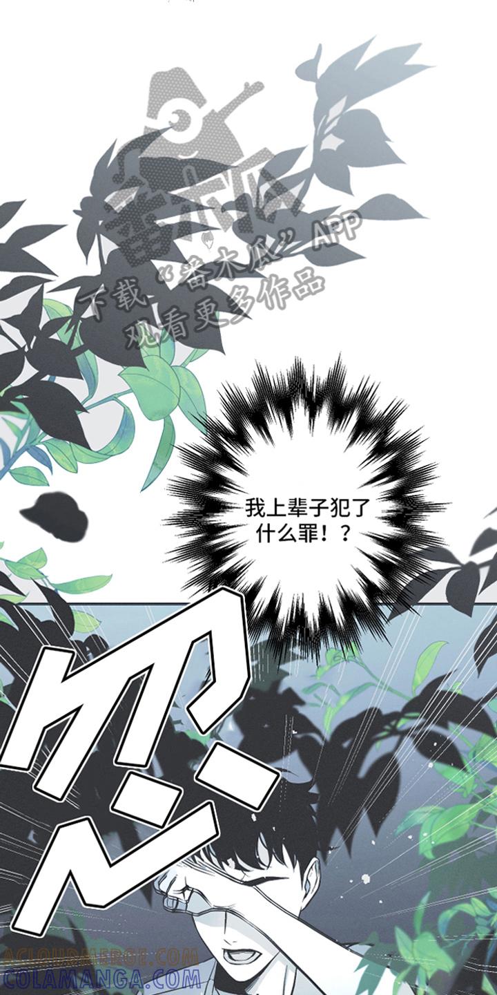 《蛇环凶危》第14章：逃跑 第17页