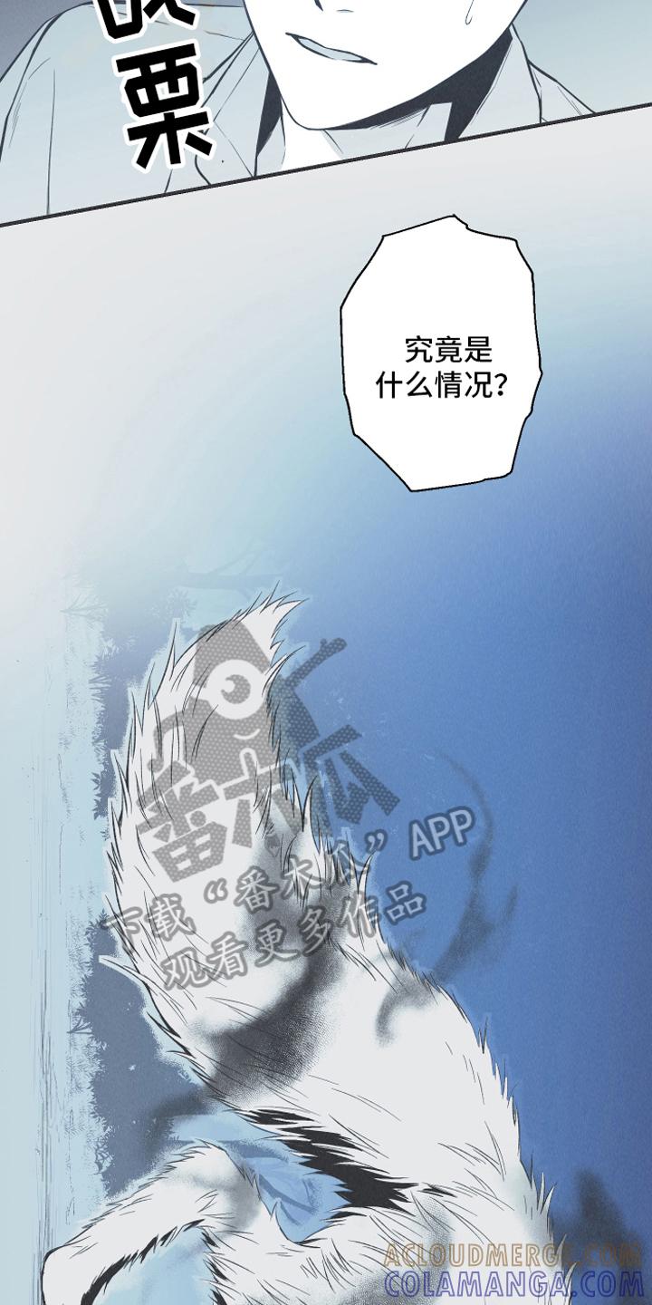 《蛇环凶危》第14章：逃跑 第3页
