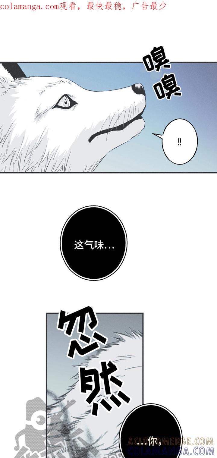 《蛇环凶危》第14章：逃跑 第1页