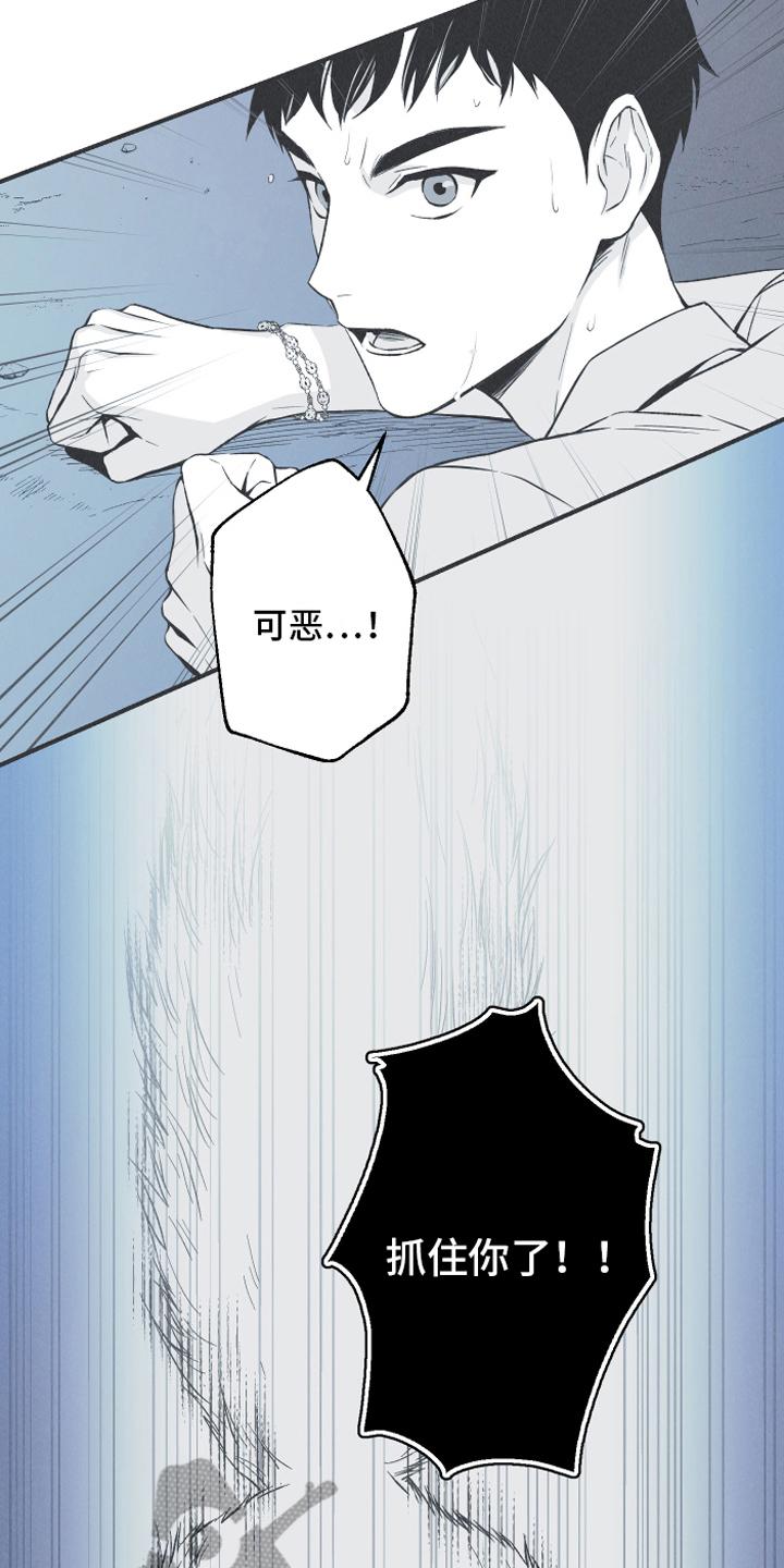 《蛇环凶危》第15章：召唤 第12页