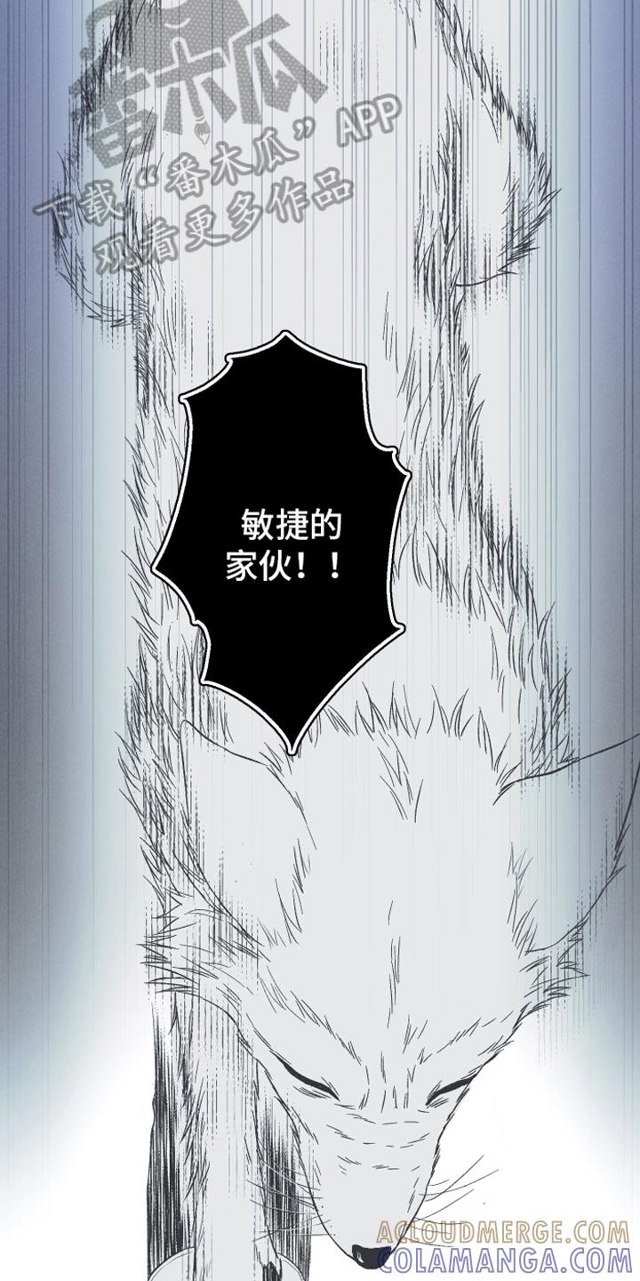 《蛇环凶危》第15章：召唤 第13页