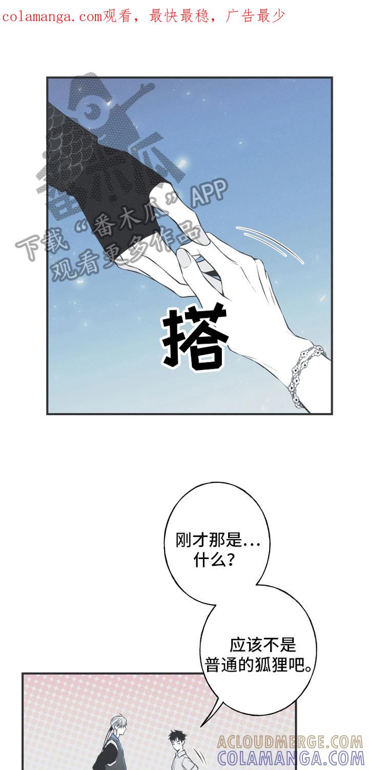 《蛇环凶危》第17章：疑惑 第1页