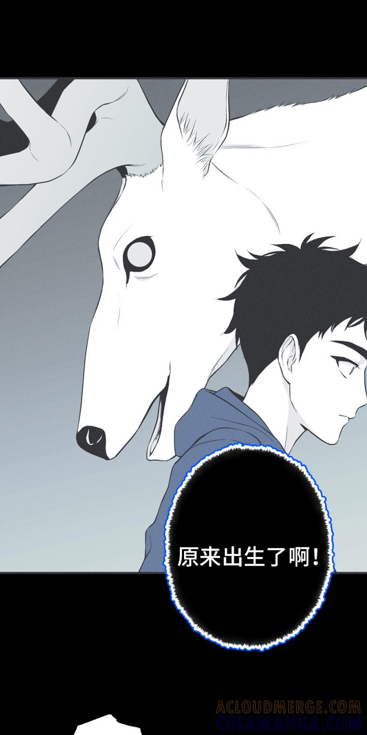 《蛇环凶危》第18章：鹿妖 第11页