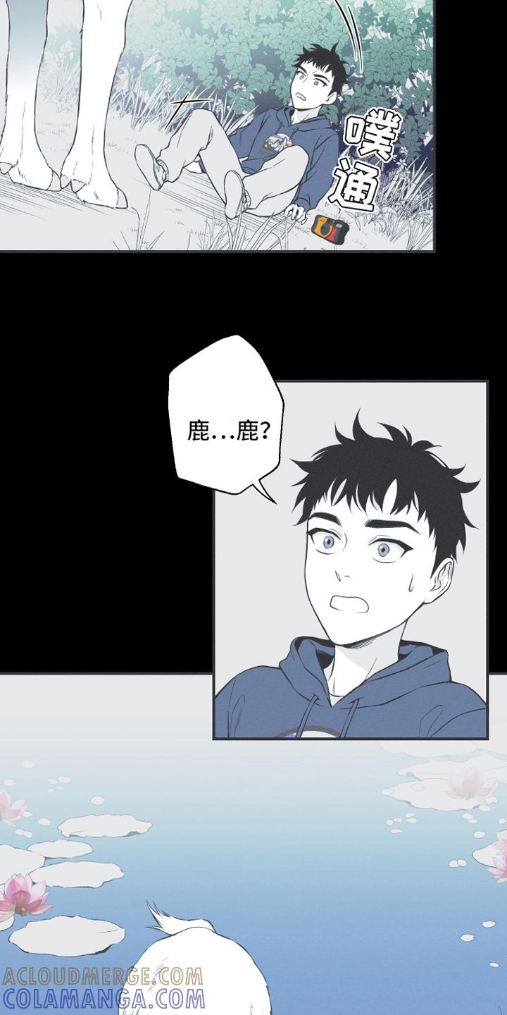 《蛇环凶危》第18章：鹿妖 第9页