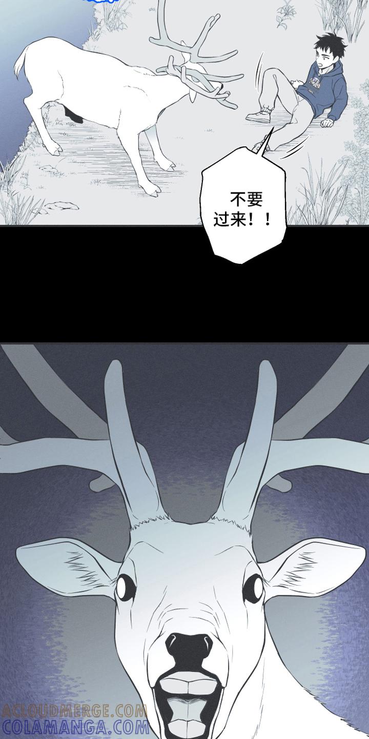 《蛇环凶危》第18章：鹿妖 第13页