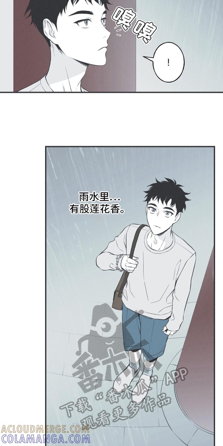 《蛇环凶危》第18章：鹿妖 第5页