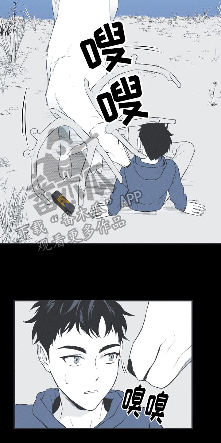 《蛇环凶危》第18章：鹿妖 第10页
