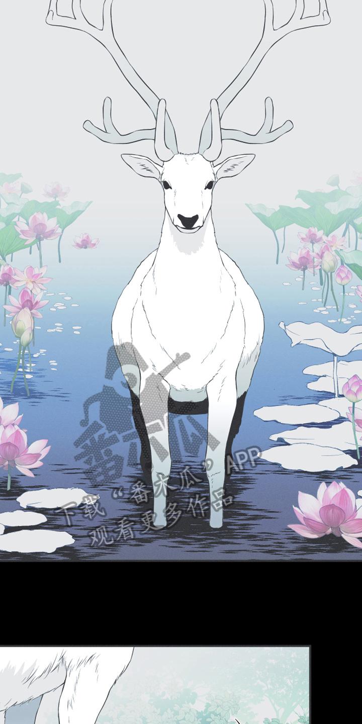 《蛇环凶危》第18章：鹿妖 第8页