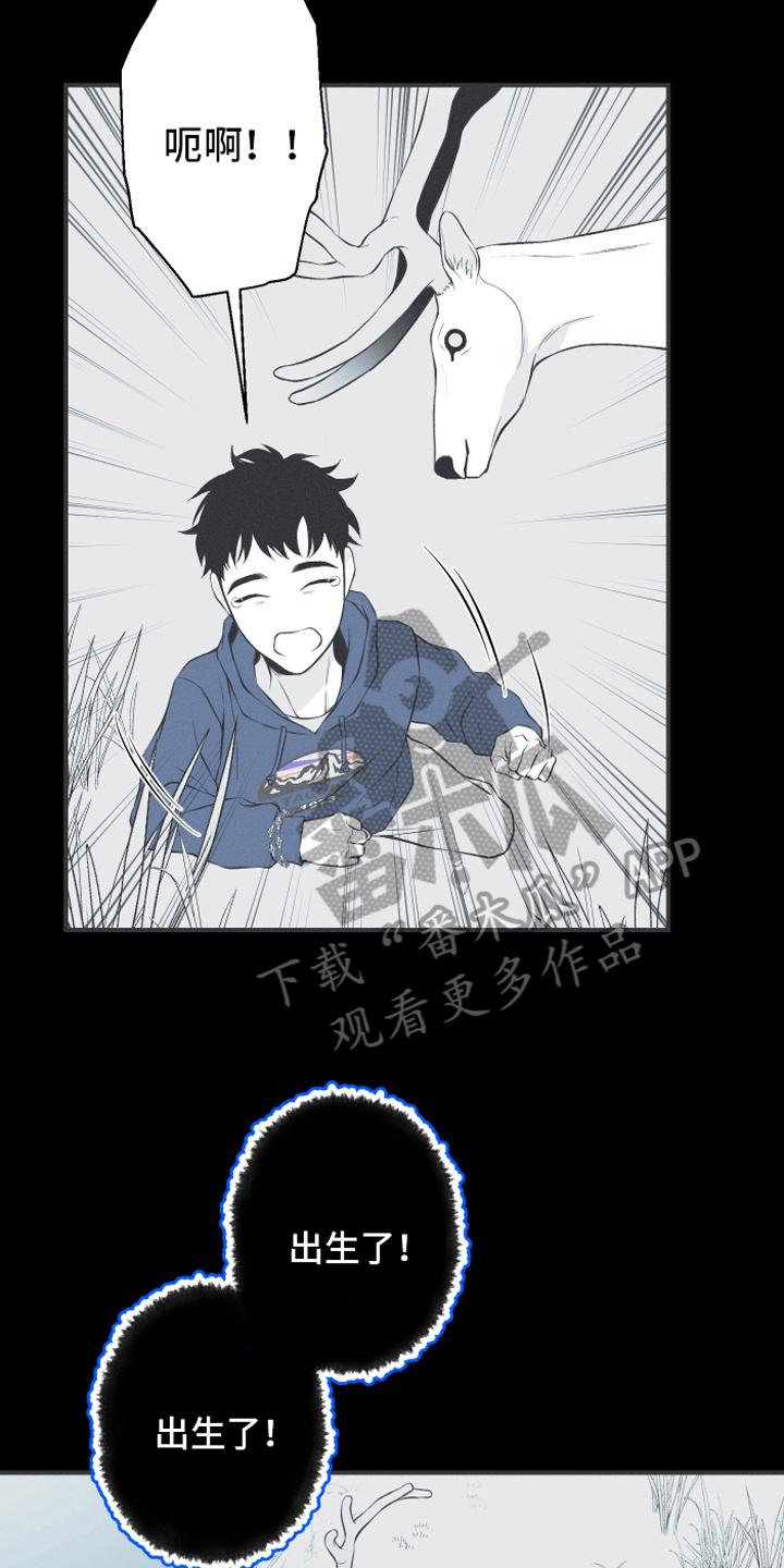 《蛇环凶危》第18章：鹿妖 第12页