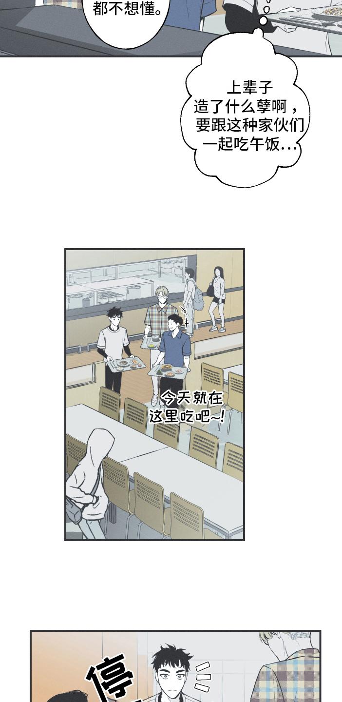 《蛇环凶危》第19章：担忧 第8页