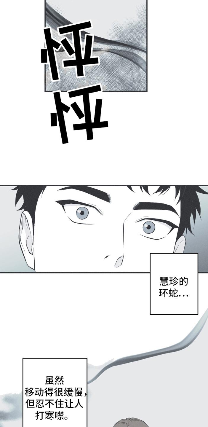 《蛇环凶危》第19章：担忧 第14页