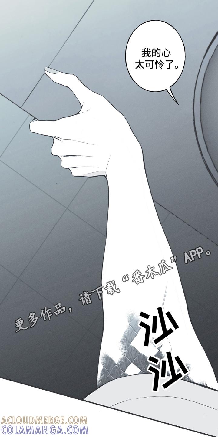 《蛇环凶危》第20章：惊变 第17页