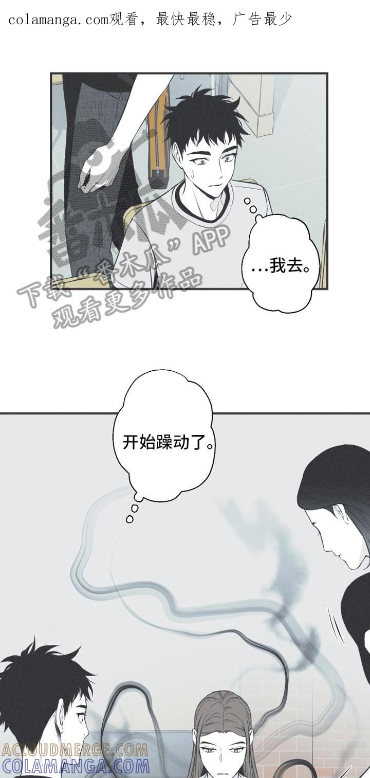 《蛇环凶危》第20章：惊变 第1页