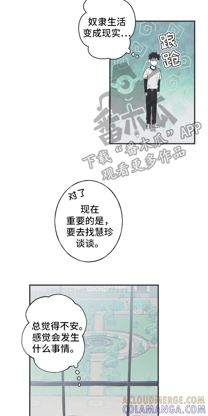 《蛇环凶危》第20章：惊变 第11页