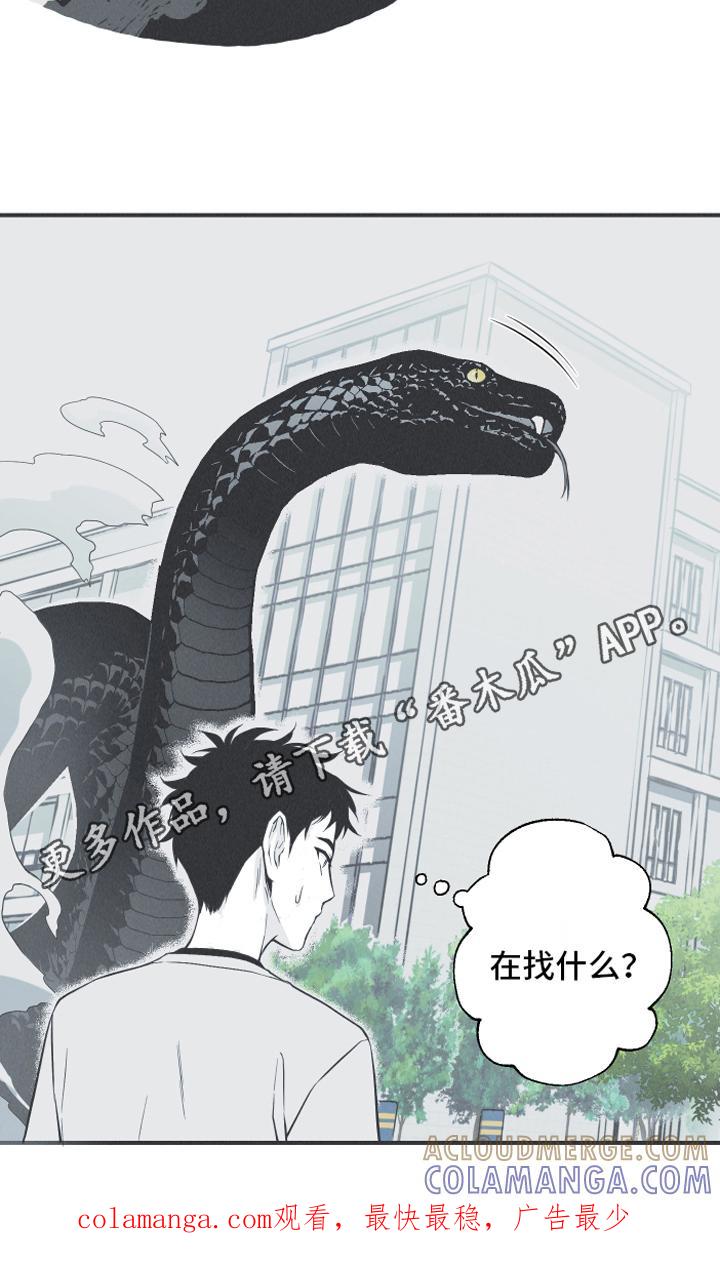 《蛇环凶危》第21章：大蛇 第17页