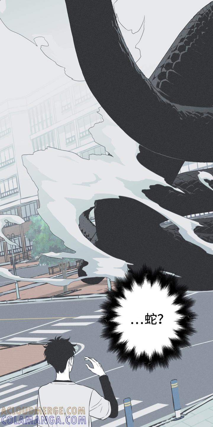 《蛇环凶危》第21章：大蛇 第13页