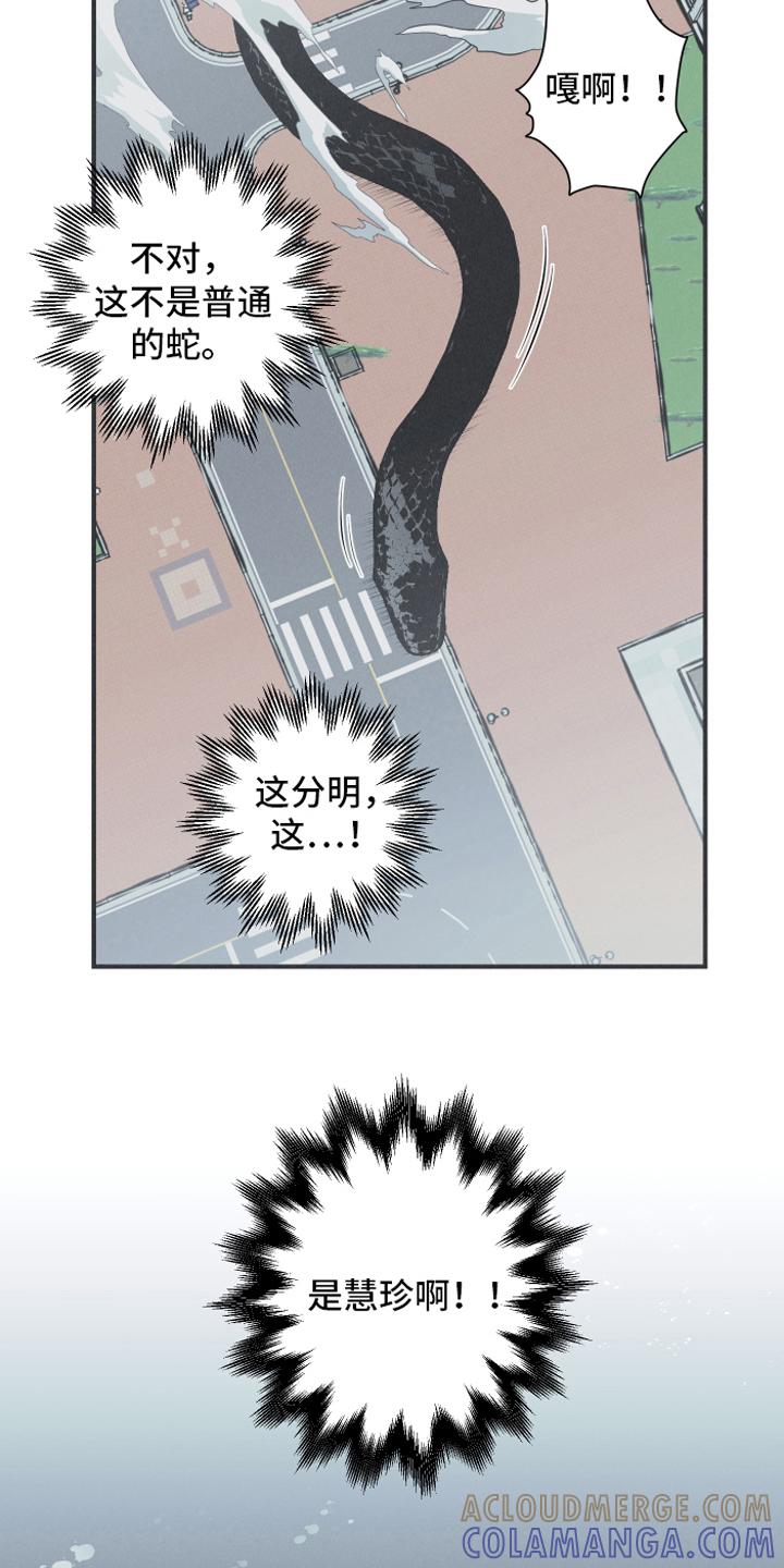 《蛇环凶危》第21章：大蛇 第15页