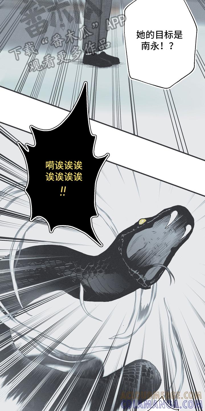 《蛇环凶危》第22章：叮嘱 第3页