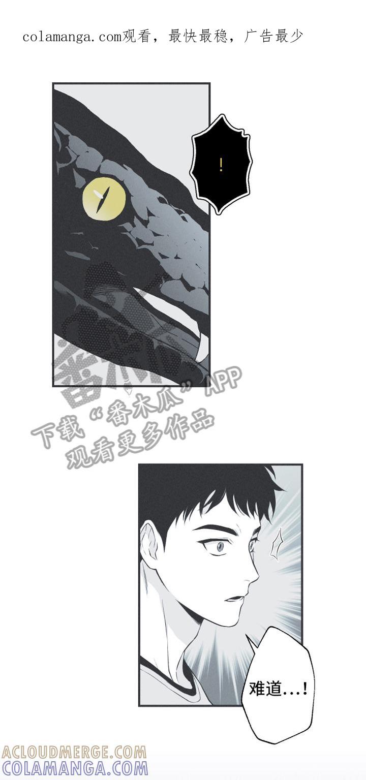《蛇环凶危》第22章：叮嘱 第1页