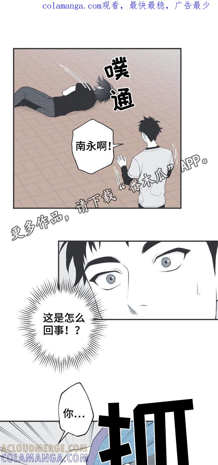 《蛇环凶危》第24章：复原 第1页
