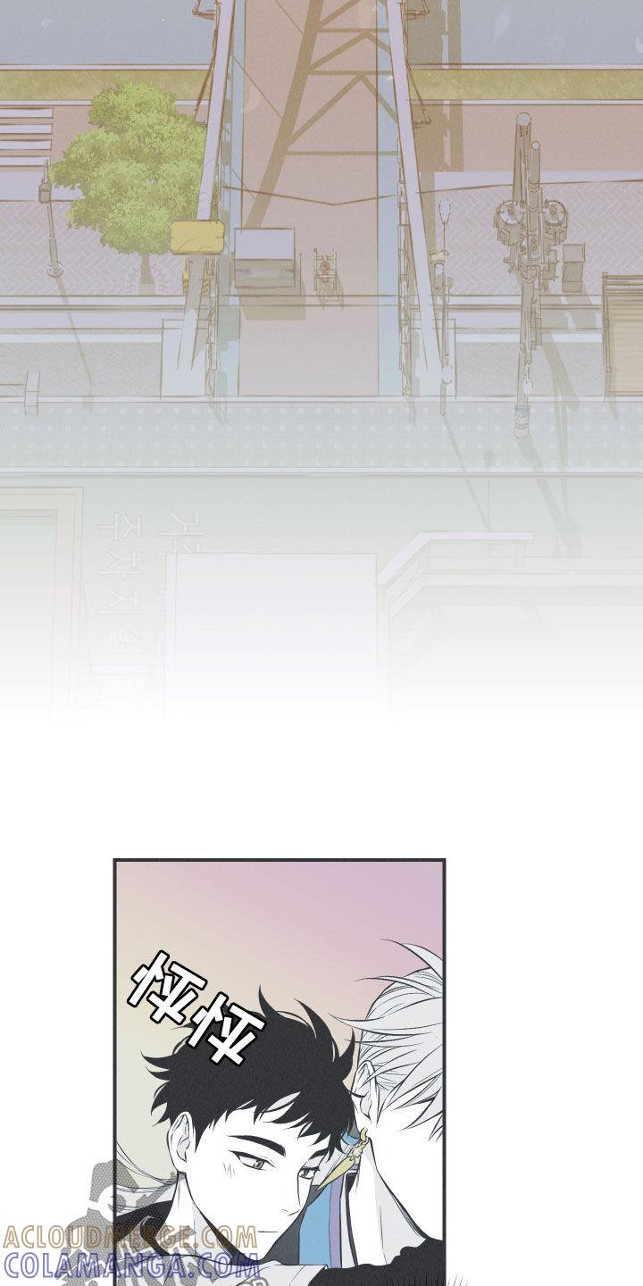 《蛇环凶危》第25章：因你而死 第13页