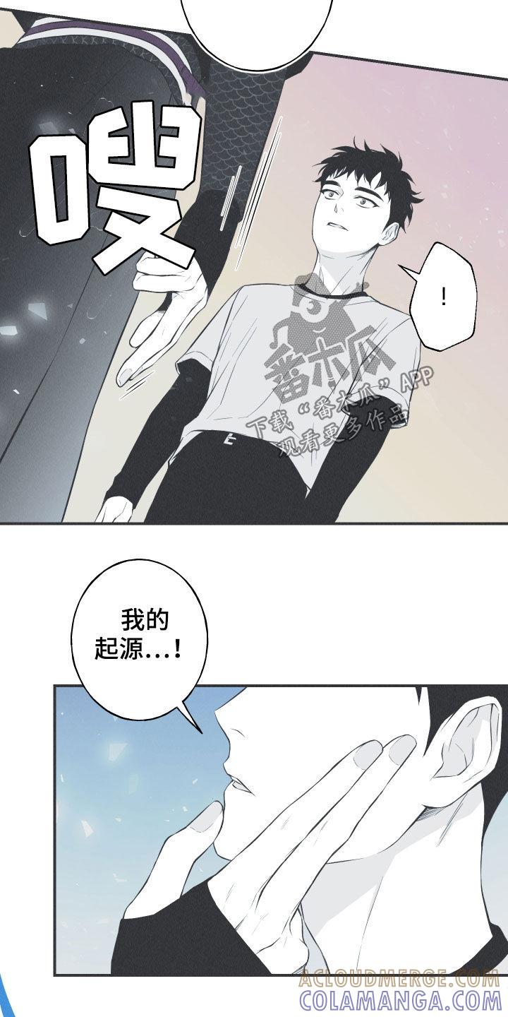 《蛇环凶危》第26章：莲花盛开 第3页