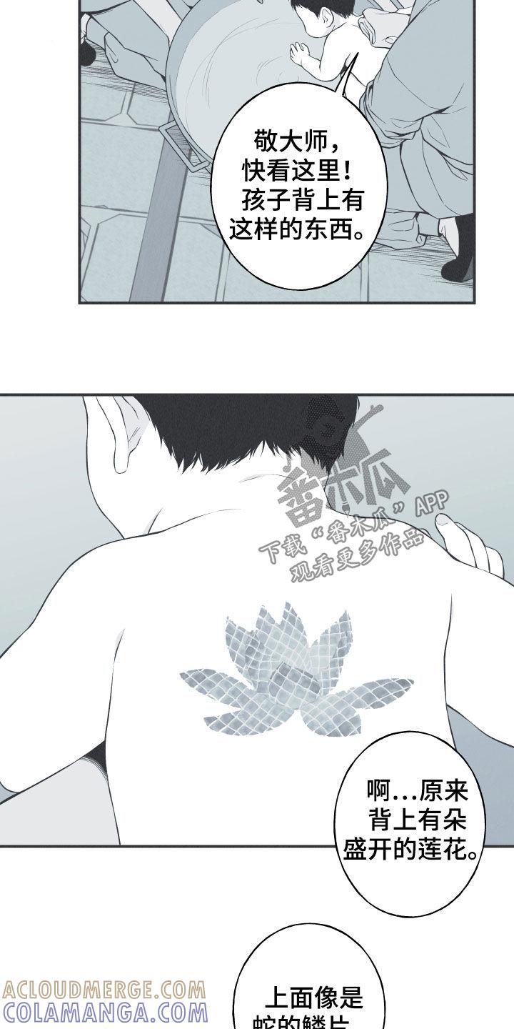 《蛇环凶危》第26章：莲花盛开 第13页