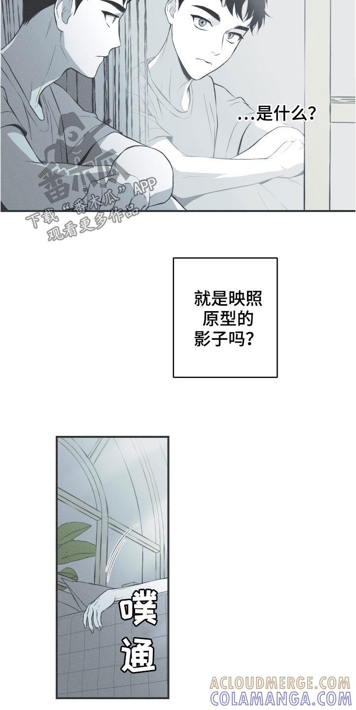 《蛇环凶危》第28章：戒律 第21页