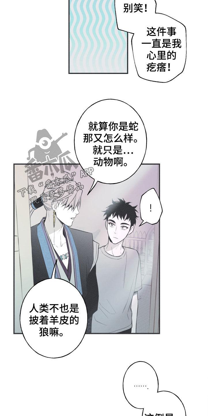 《蛇环凶危》第28章：戒律 第12页