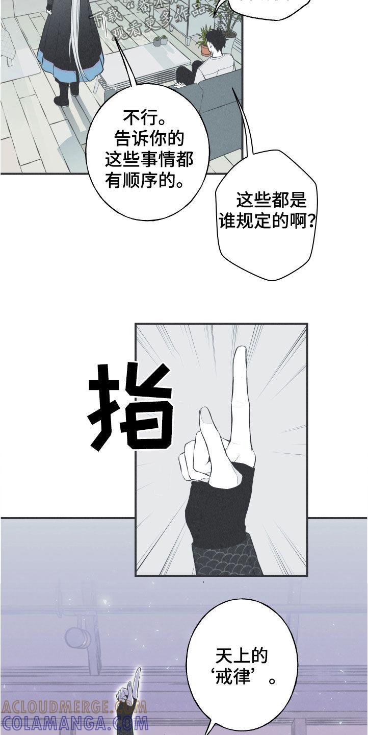 《蛇环凶危》第28章：戒律 第9页