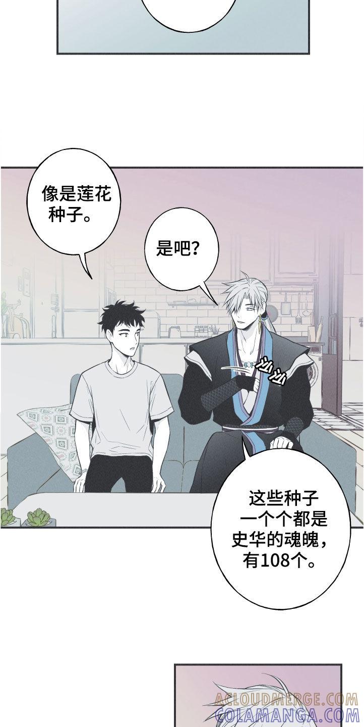 《蛇环凶危》第28章：戒律 第3页