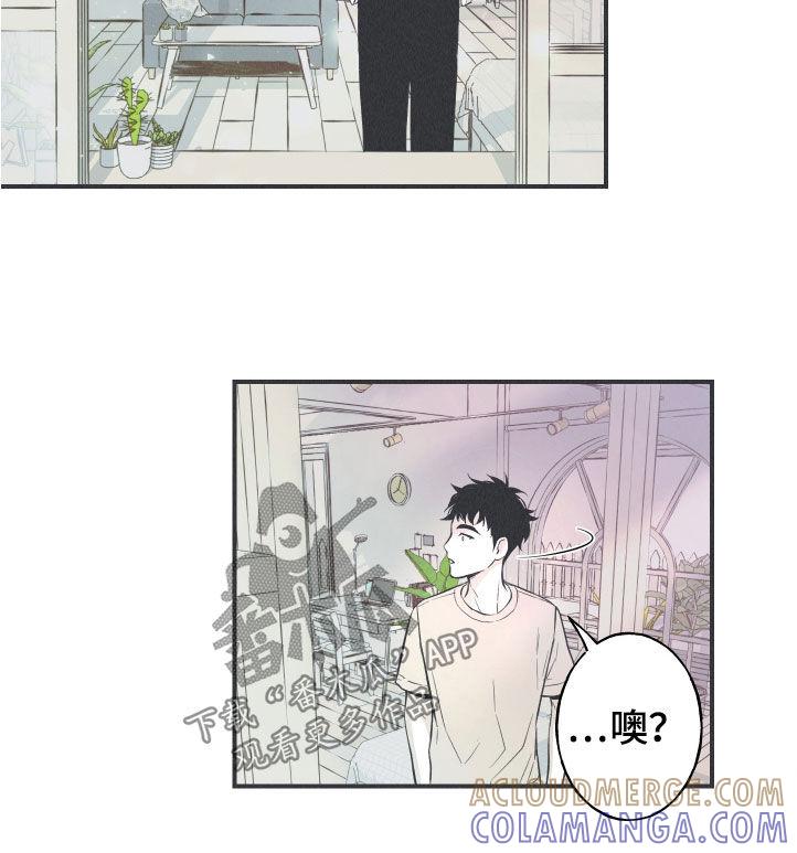《蛇环凶危》第28章：戒律 第15页
