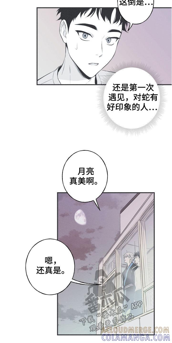 《蛇环凶危》第28章：戒律 第13页