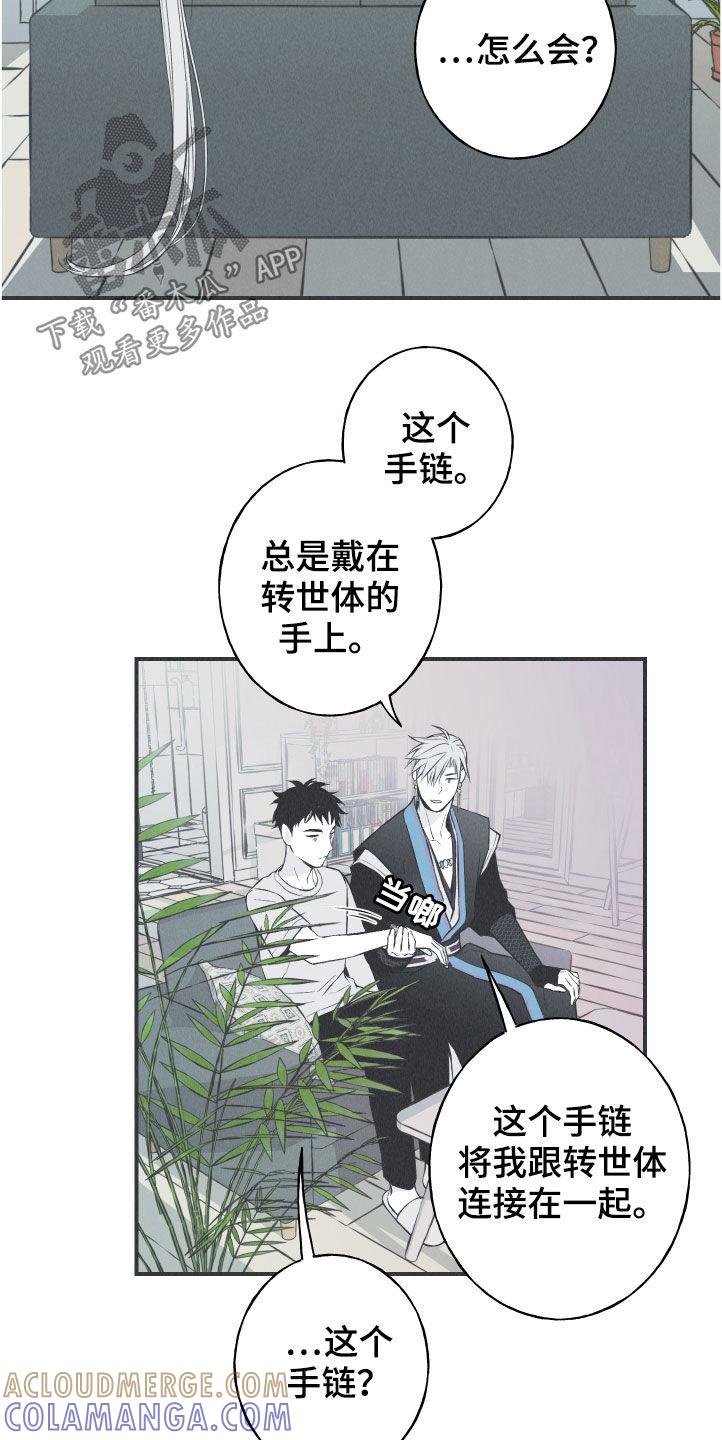 《蛇环凶危》第28章：戒律 第7页