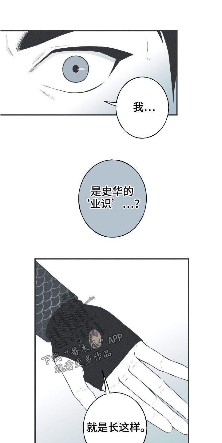 《蛇环凶危》第28章：戒律 第2页