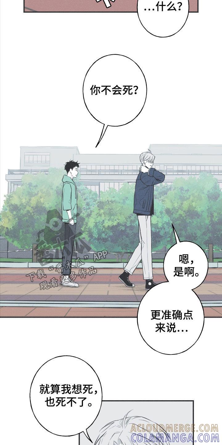 《蛇环凶危》第29章：不死不灭 第17页