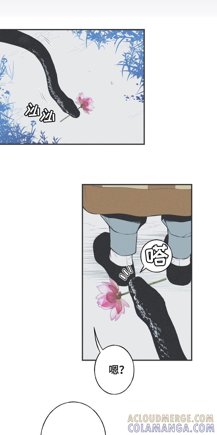 《蛇环凶危》第30章：填补空缺 第19页