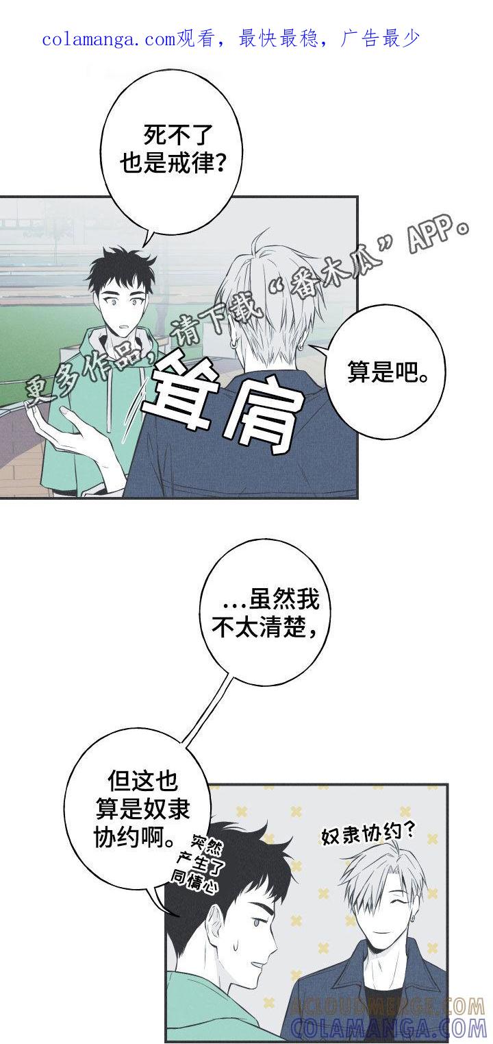 《蛇环凶危》第30章：填补空缺 第1页