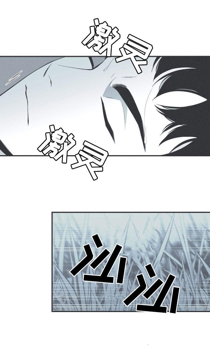 《蛇环凶危》第30章：填补空缺 第10页