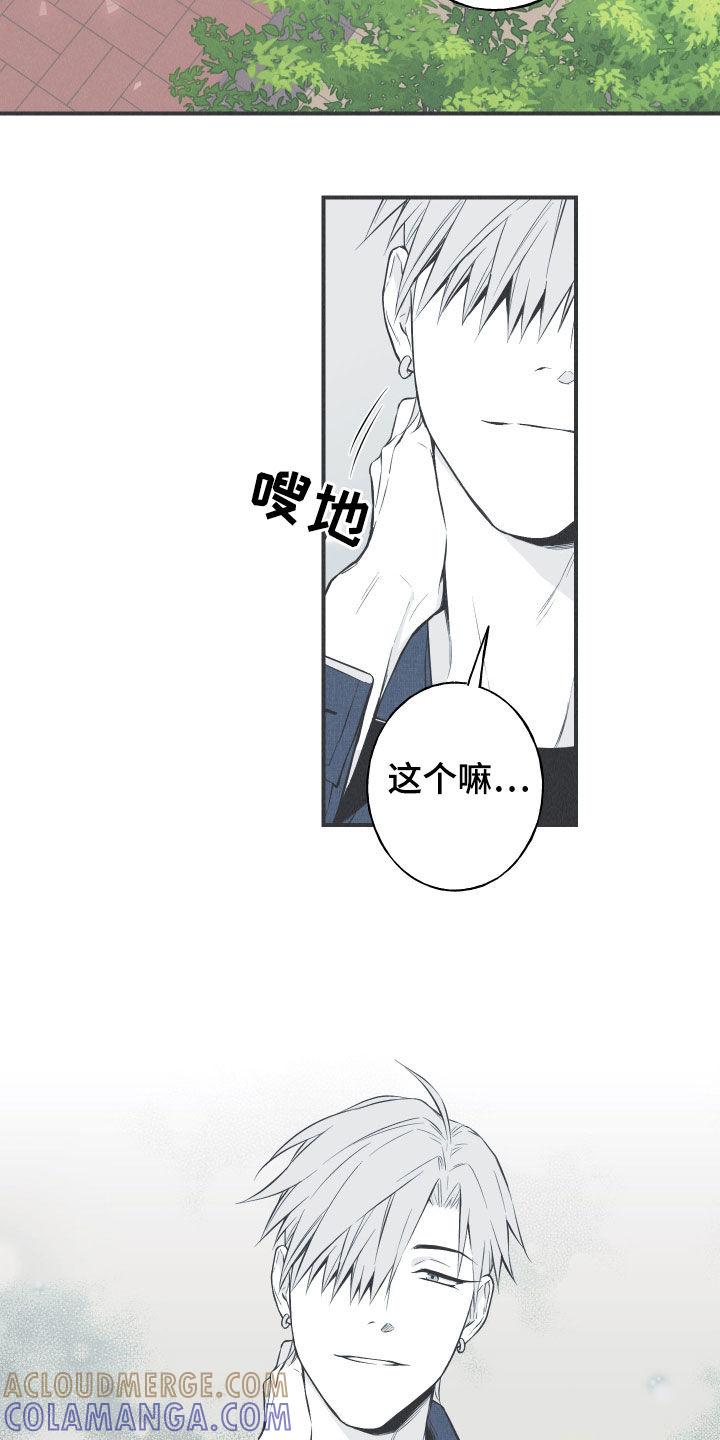 《蛇环凶危》第30章：填补空缺 第3页
