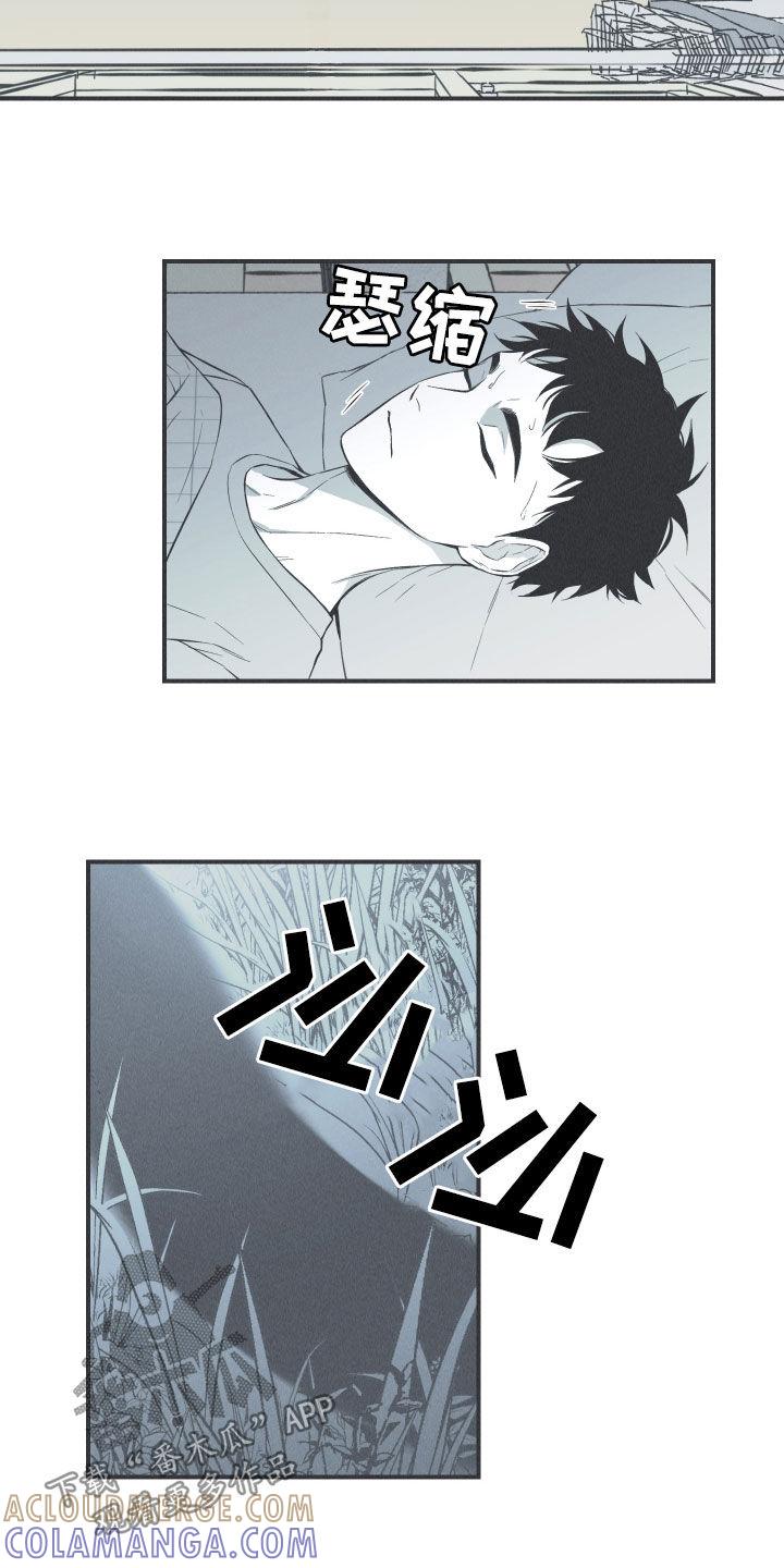 《蛇环凶危》第30章：填补空缺 第9页