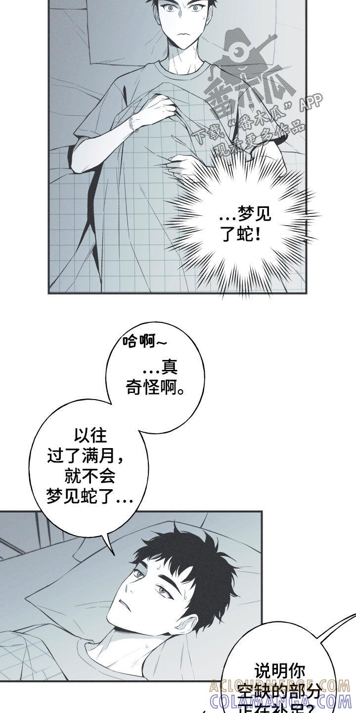 《蛇环凶危》第30章：填补空缺 第23页