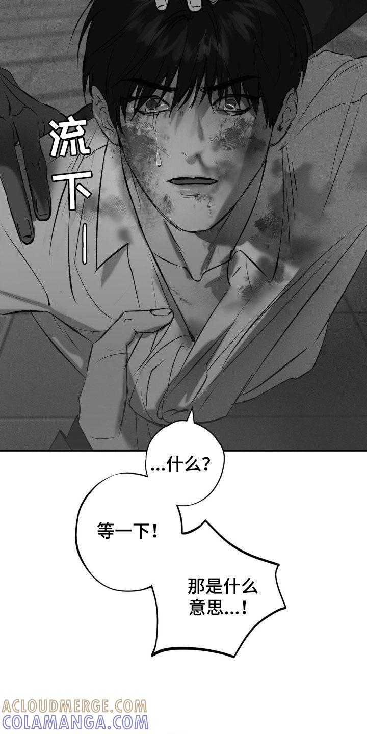 《黑城之剑》第31章：真是放肆 第13页