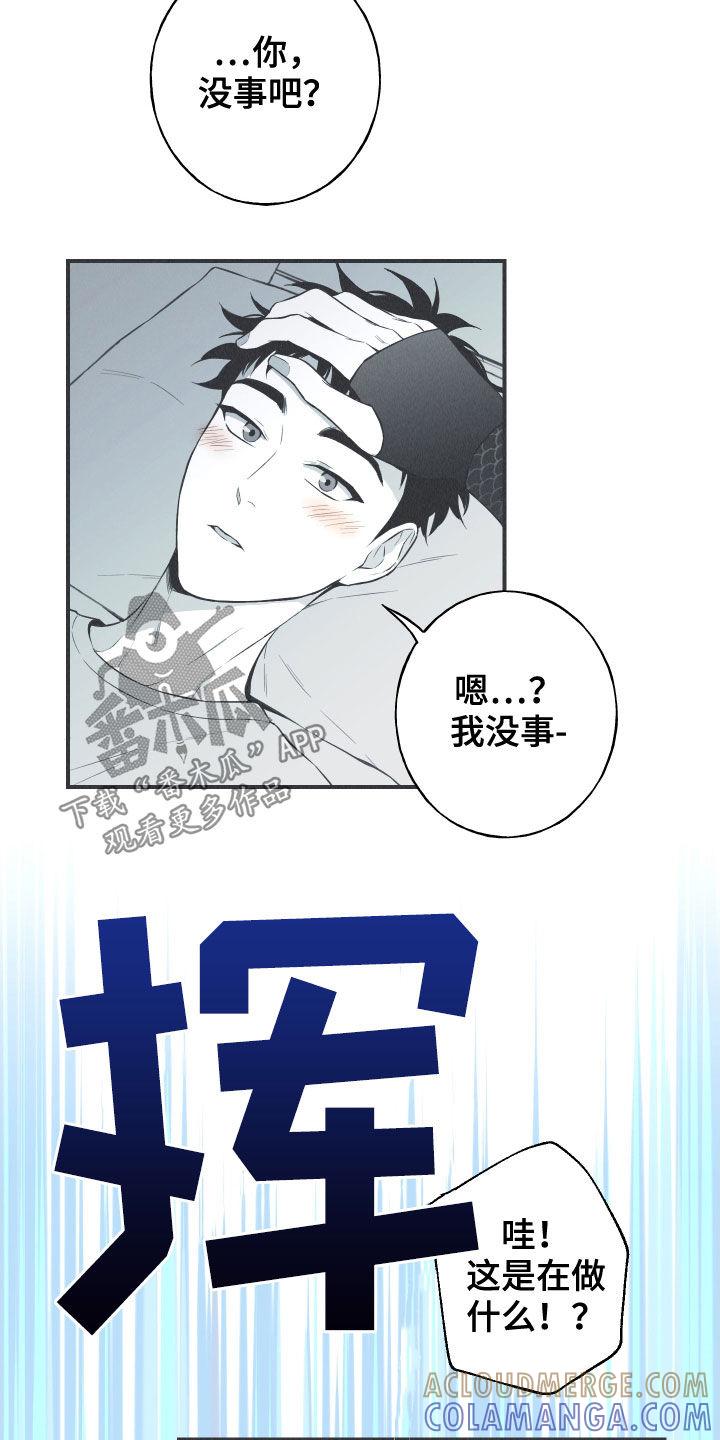 《蛇环凶危》第31章：降温 第7页