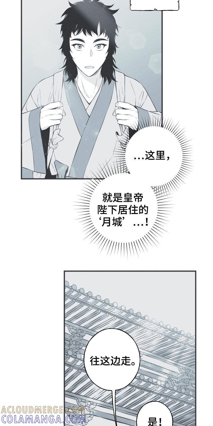 《蛇环凶危》第32章：动物的语言 第3页
