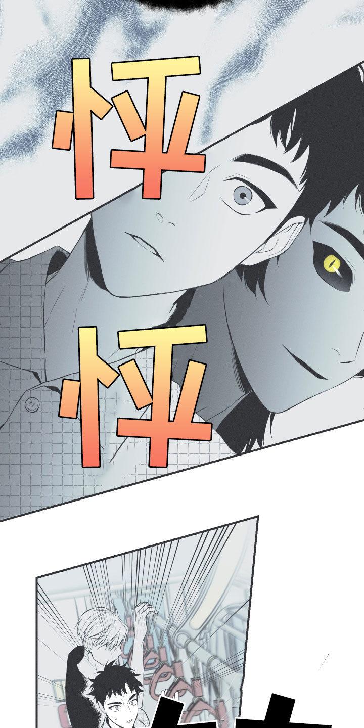 《蛇环凶危》第33章：凉飕飕 第18页