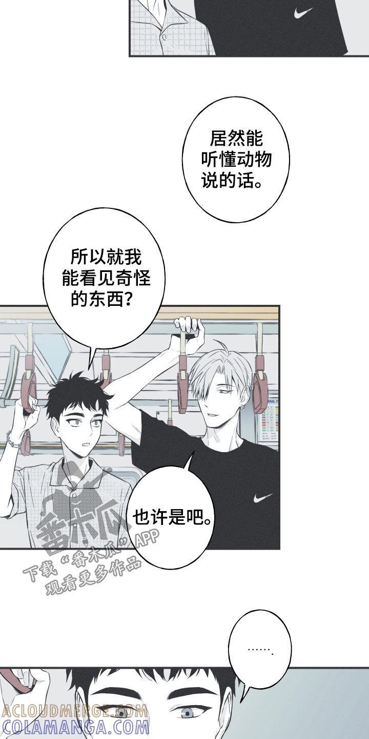 《蛇环凶危》第33章：凉飕飕 第15页