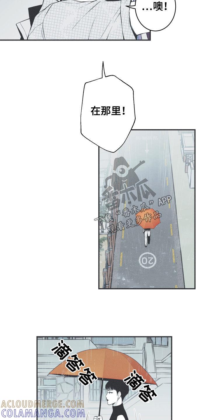 《蛇环凶危》第34章：跟踪 第15页