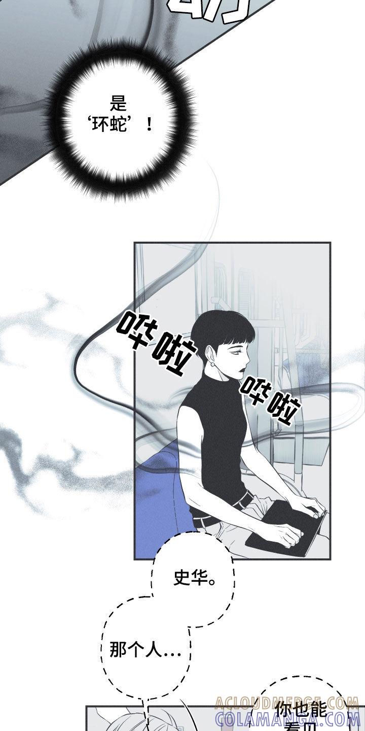《蛇环凶危》第34章：跟踪 第7页