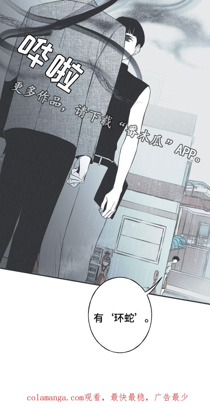 《蛇环凶危》第34章：跟踪 第22页